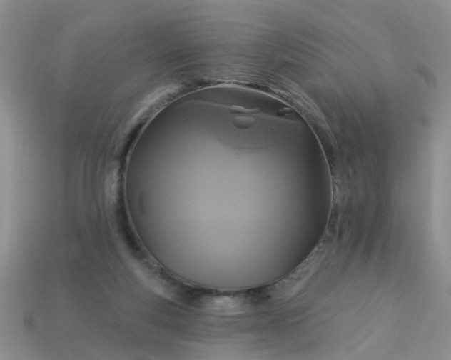 X0000113050163200909101947