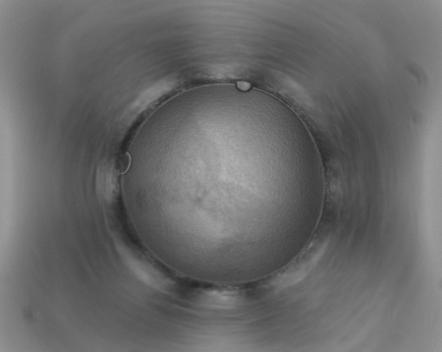 X0000113050164200909101947