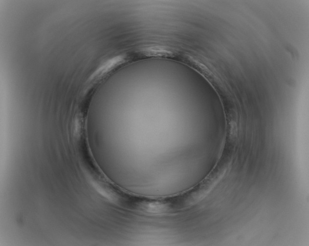 X0000113050165200909101947