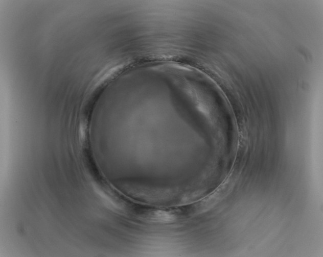 X0000113050166200909101947