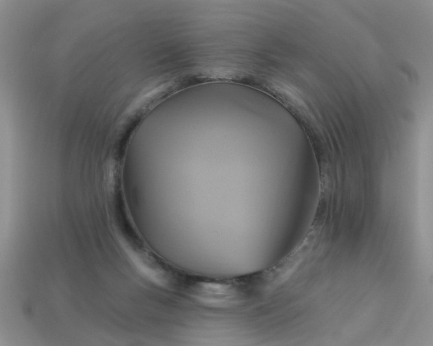 X0000113050167200909101947