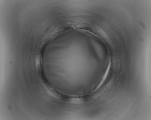 X0000113050169200909101947