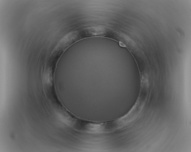 X0000113050170200909101947