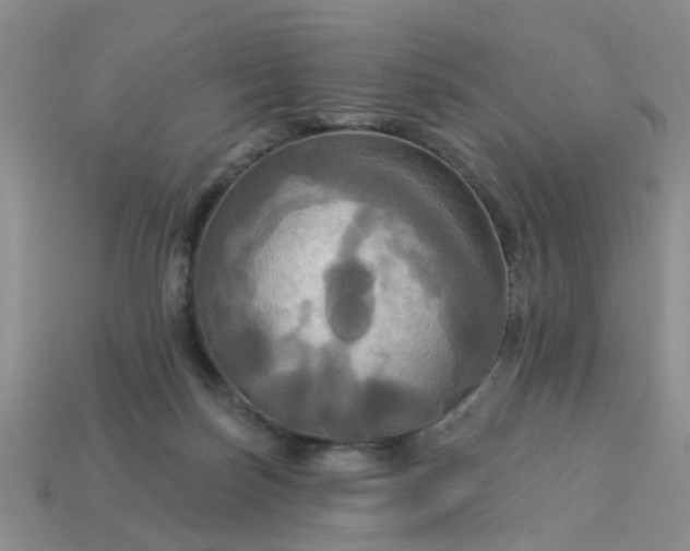 X0000113050171200909101947