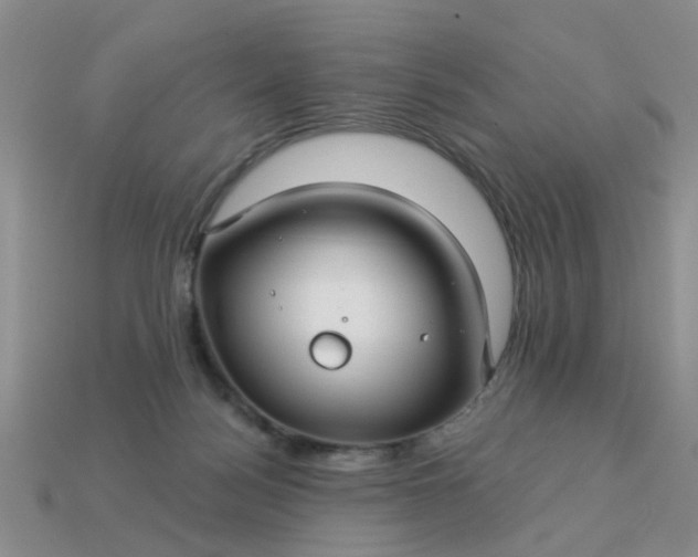 X0000113050172200909101947