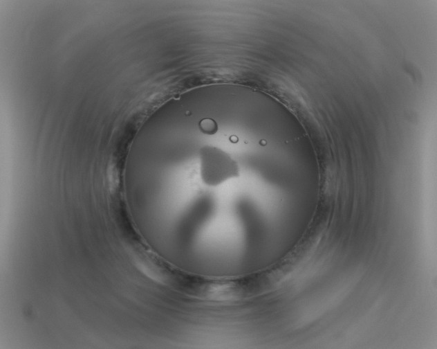 X0000113050173200909101947