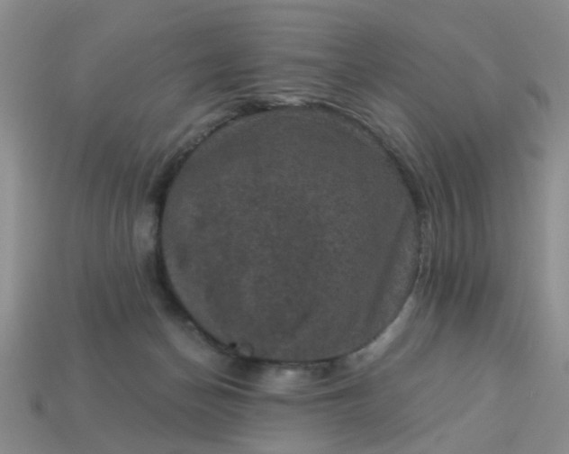 X0000113050174200909101947