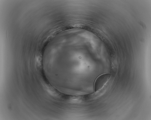 X0000113050175200909101947