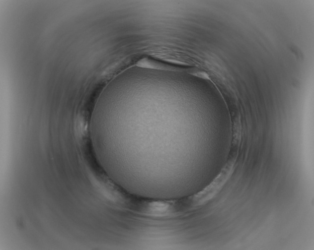 X0000113050176200909101947