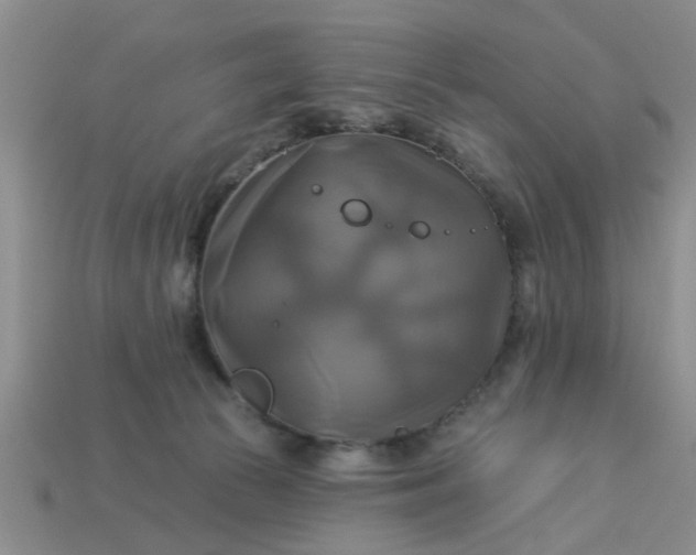 X0000113050177200909101947