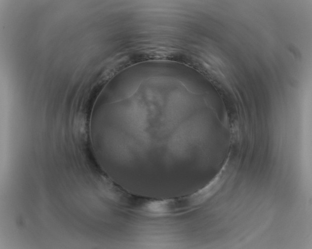 X0000113050178200909101947