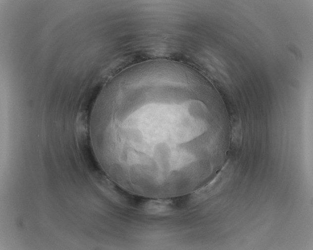 X0000113050179200909101947