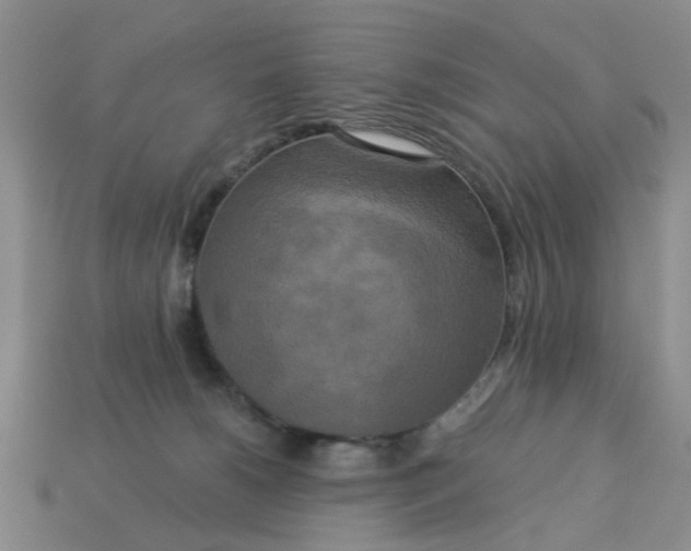 X0000113050180200909101947