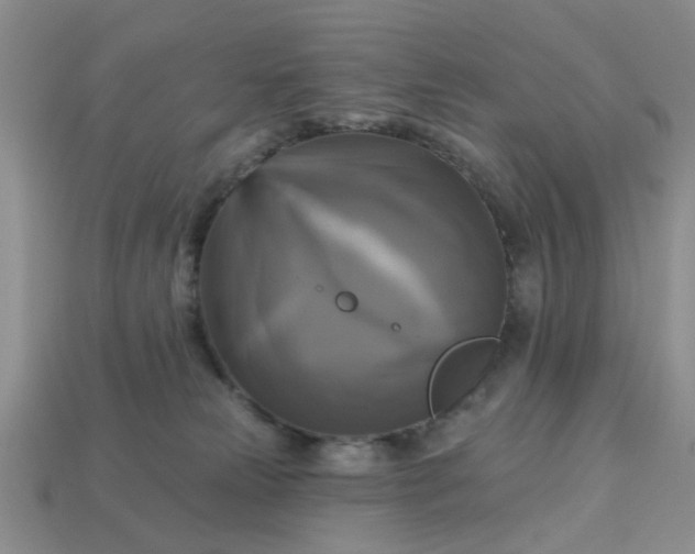 X0000113050181200909101947