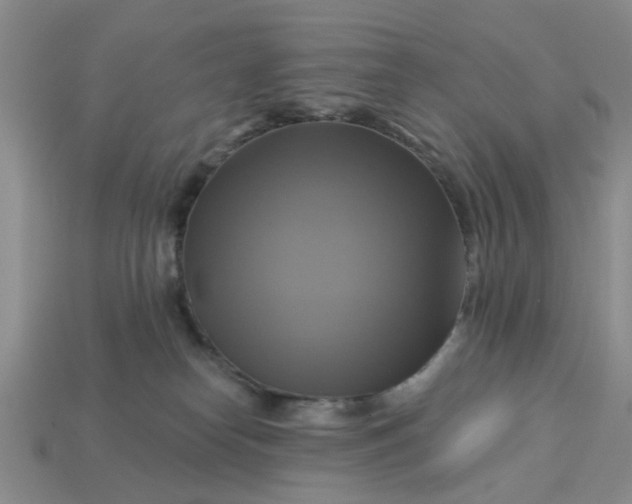 X0000113050182200909101947