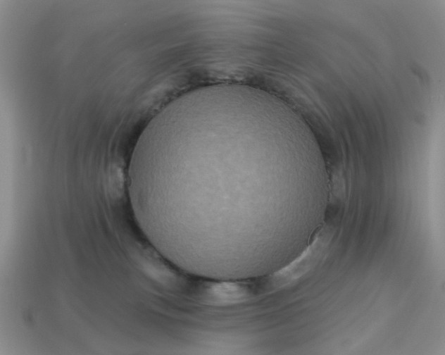 X0000113050183200909101947