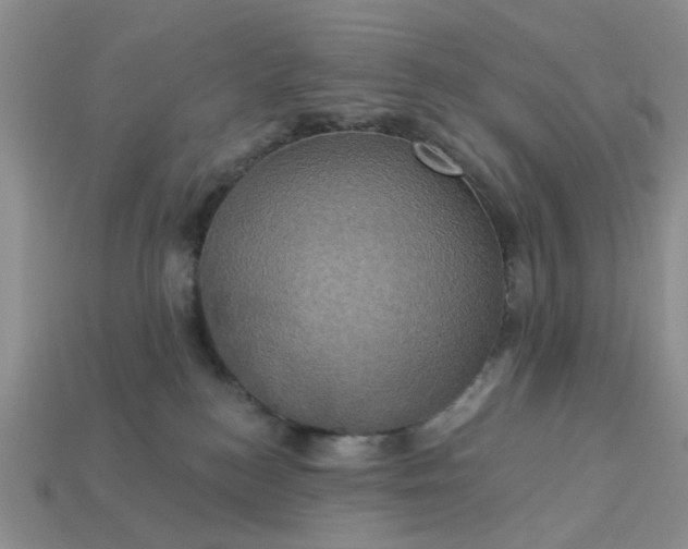 X0000113050184200909101947