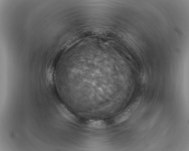 X0000113050185200909101947