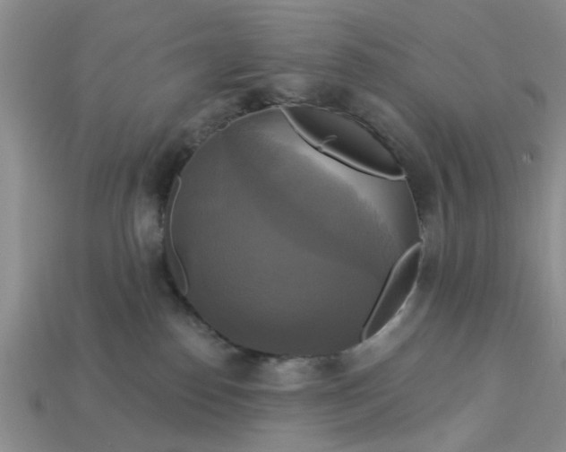 X0000113050186200909101947