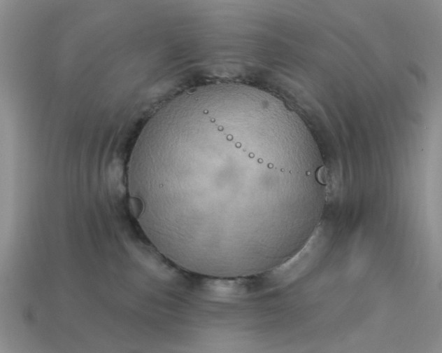 X0000113050187200909101947