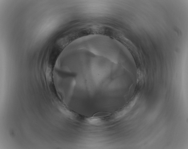 X0000113050189200909101947