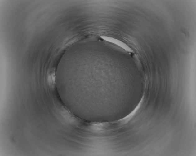 X0000113050190200909101947