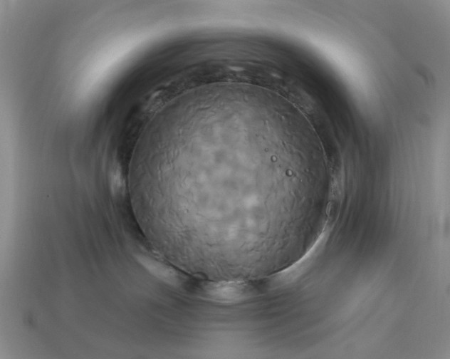 X0000113050191200909101947