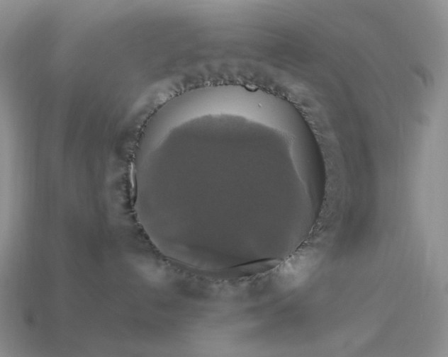 X0000113050192200909101947