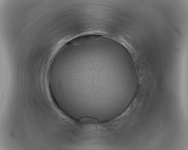 X0000113050193200909101946