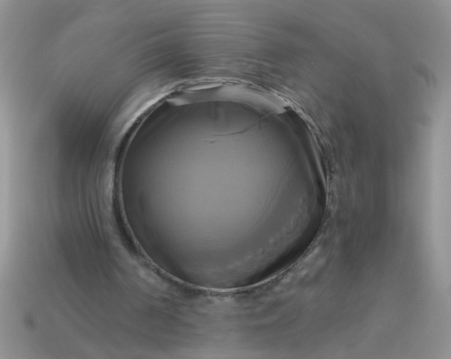 X0000113050194200909101946