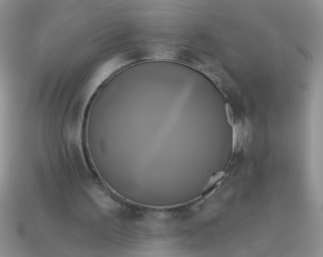 X0000113050195200909101946