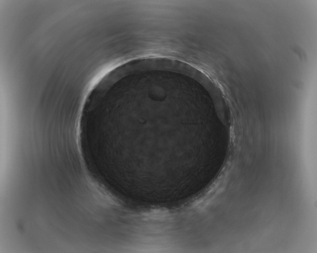 X0000113050196200909101946