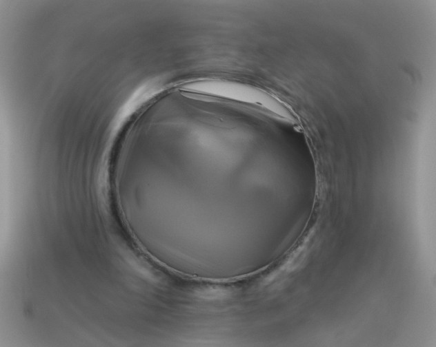 X0000113050198200909101946