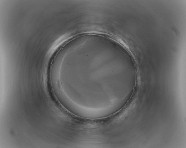 X0000113050199200909101946