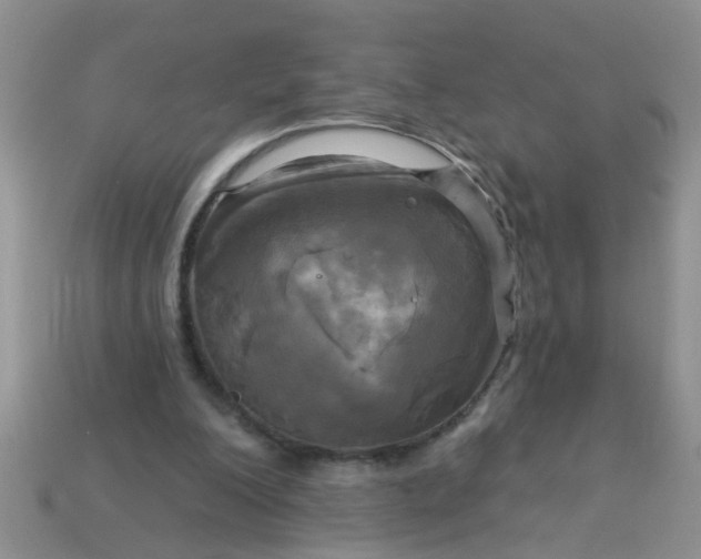 X0000113050200200909101946