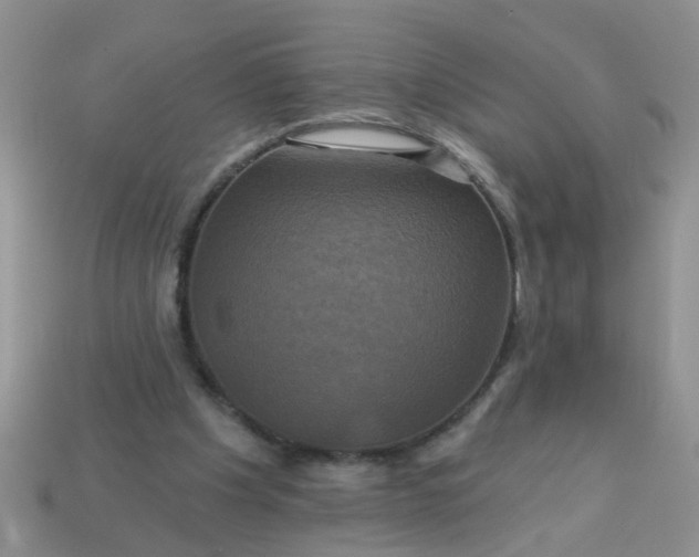 X0000113050201200909101946