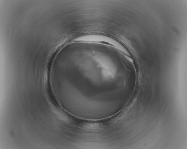 X0000113050202200909101946