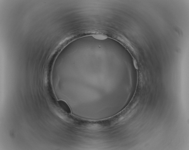 X0000113050203200909101946