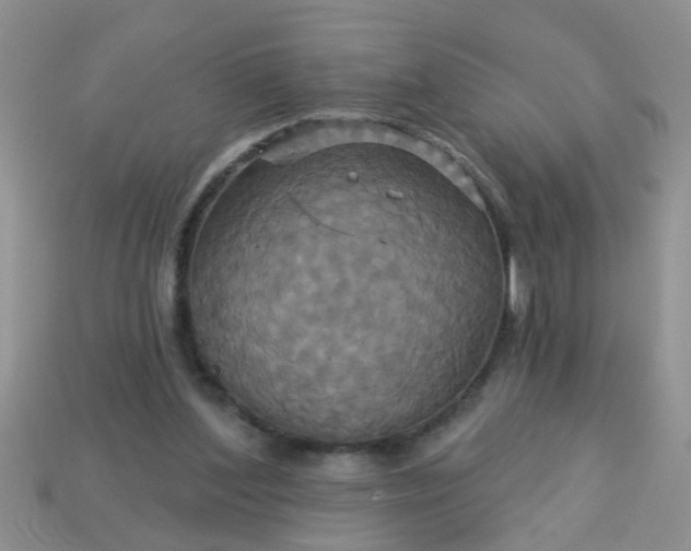 X0000113050204200909101946