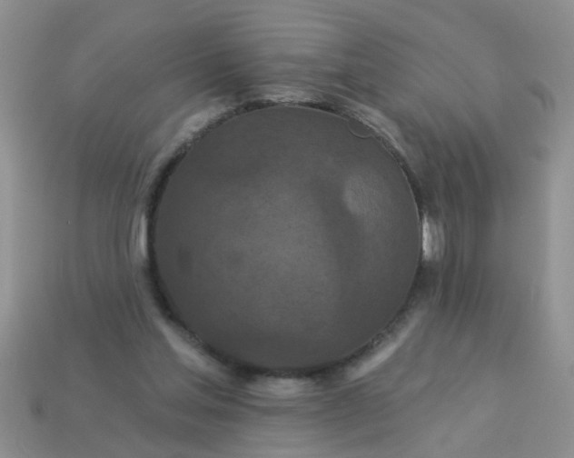 X0000113050205200909101946