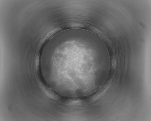 X0000113050206200909101946