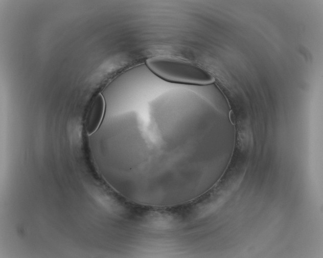 X0000113050207200909101946