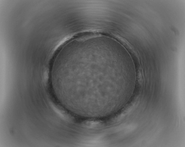 X0000113050208200909101946