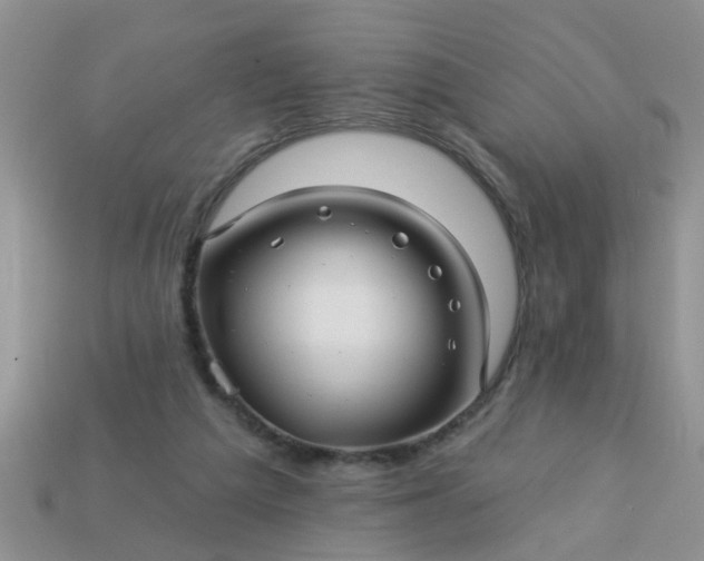 X0000113050209200909101946