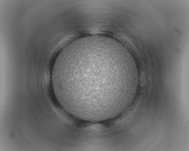 X0000113050210200909101946