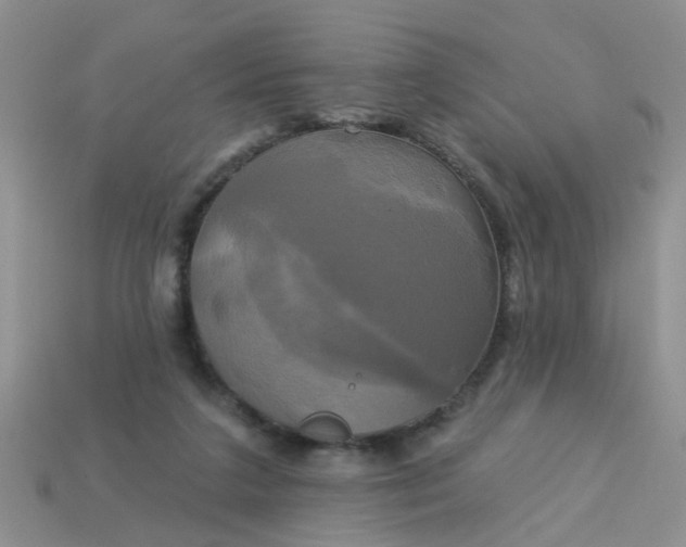 X0000113050211200909101946