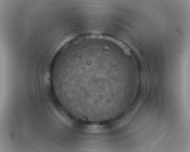 X0000113050212200909101946