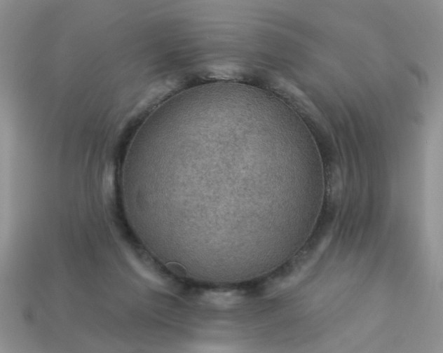 X0000113050213200909101946