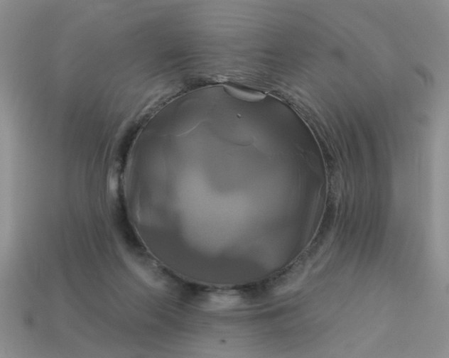 X0000113050214200909101946