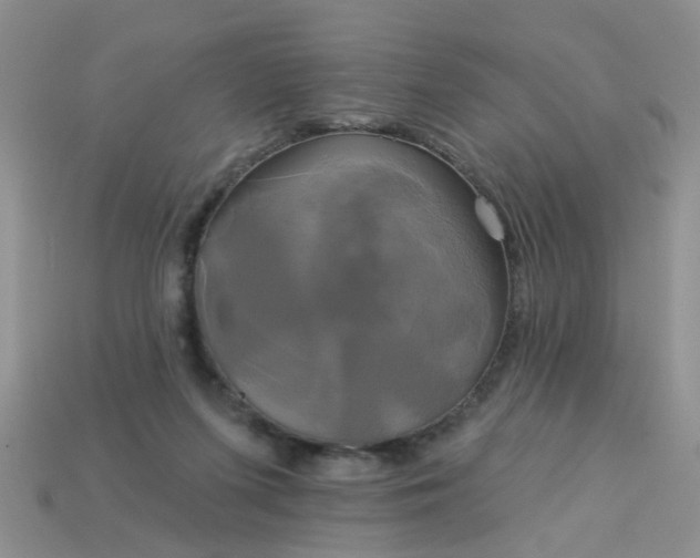 X0000113050215200909101946